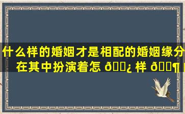 什么样的婚姻才是相配的婚姻缘分在其中扮演着怎 🌿 样 🐶 的角色